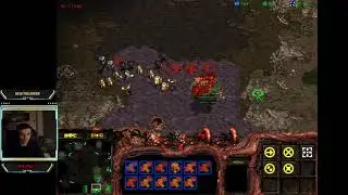 Starcraft Remastered - live stream 04.11.2020