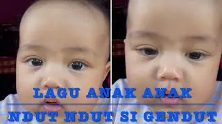 NDUT NDUT SI GENDUT ❤️ LAGU ANAK ANAK INDONESIA