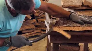 Discovering the Art of Cork Production in Portugal