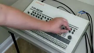 Happy 909 day 2024