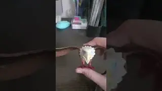 сломанный оператор 🎥