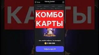 Комбо карты 15-16 июня Hamster Kombat 