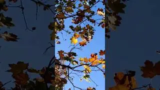 Краснодар, пошли снимать кино