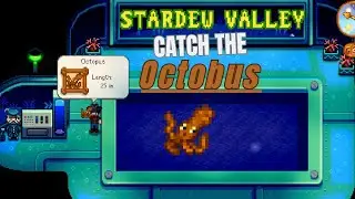 The Octopus  in  Stardew Valley