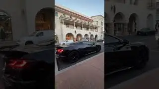 Murdered Out Z06 Startup & Revs