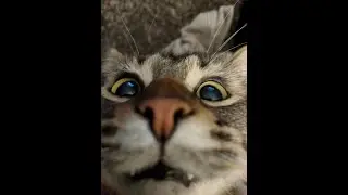 Всем моим хейтерам!!!