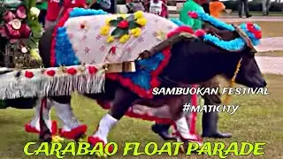CARABAO FLOAT PARADE 2023 
