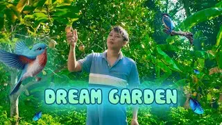 Vegetables picked from the garden make delicious pig ear salad | Thai Farm