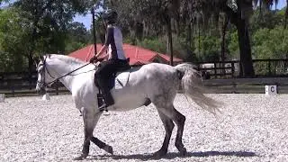 Javi.Karla.3.23.3