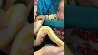 I PLAYED WITH MY LITTLE BROTHER WHO WAS SO BRAVE TO HOLD THE LONGEST SNAKE IN THE WORLD!