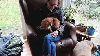 Bibi 🥰 - een buurvrouw op bezoek