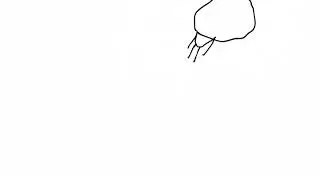 test 15