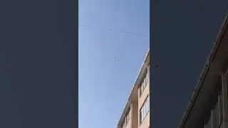 Три 