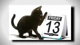 FRIDAY THE 13th