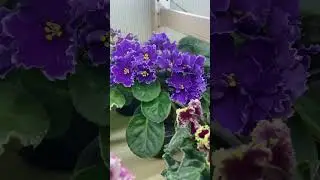 Обзорчики 17.04 ч.1