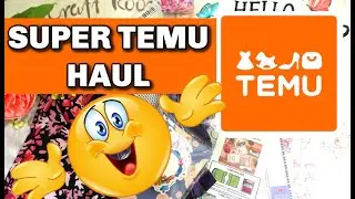Super fun Temu haul. Lot's of great items