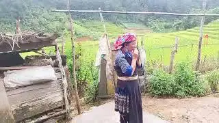 suab ncas
