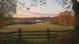 a playlist for a quiet morning 🍂🐈💨 (autumn version)