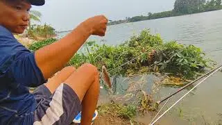 Nước lên đẹp cá ăn mạnh #fishing