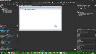 Rad Studio Delphi 016 PageControl - 006 ImageList