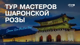 Тур Мастеров Шаронской Розы 2024