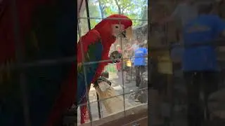 Контактный зоопарк 🥰