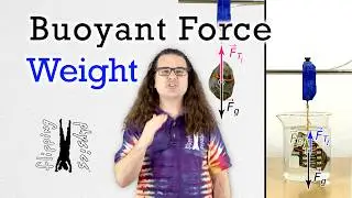 Buoyant Force in Action: Weight of Displaced Water!
