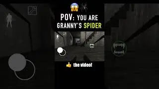 Is this what the world looks like as Granny's spider? 🕷️👀 