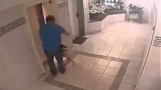 這狗主人差點把狗狗害死！