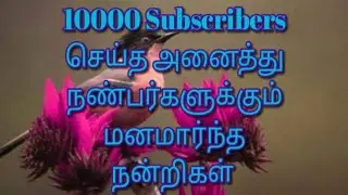 10000 Subscribers செய்த அனைத்து நண்பர்களுக்கும் மனமார்ந்த நன்றிகள்...