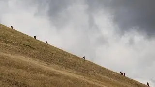 Una giornata sui Sibillini 5 (Monte Porche)