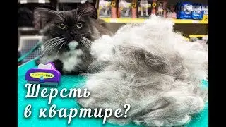 День красоты в Золотой Рыбке