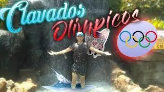 Como hacer Clavados Olimpicos Blog || Cemars Cx || vlog prron