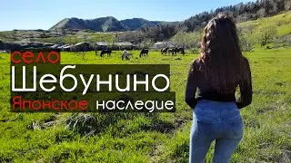На краю острова Сахалин. Село Шебунино. НЕИЗВЕДАННЫЙ САХАЛИН. #1