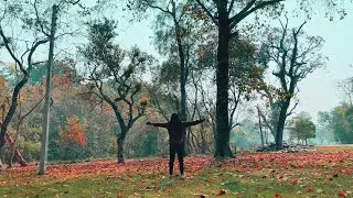 Baaghchaal and Bardia