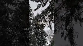 Самое сказочное время в году уже скоро ✨