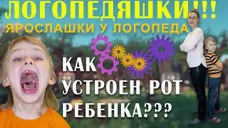 Как устроен рот ребенка?  Диагностика артикуляционного аппарата.