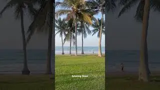 Amazing Oman Beaches #youtuber #youtube #youtubeshorts