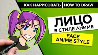 How to draw face anime style