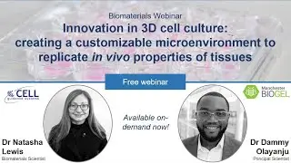 Creating a customizable microenvironment to replicate in vivo properties of tissues