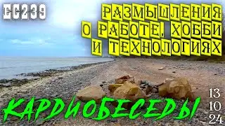 День из жизни: размышления о работе, хобби и технологиях. 13 октября 2024г