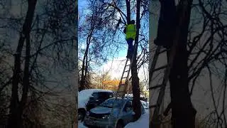 Спасение кота Стёпы