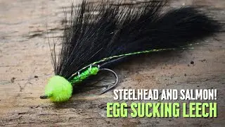 Egg Sucking Leech, Flies for Steelhead and Salmon
