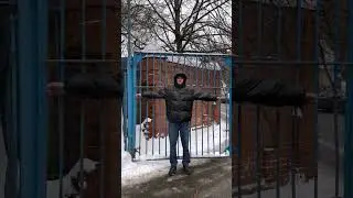 Антон Шастун могучий волшебник 