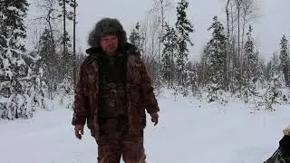 72 часа в лесу с собаками,проверка палатки AltaiCamp.