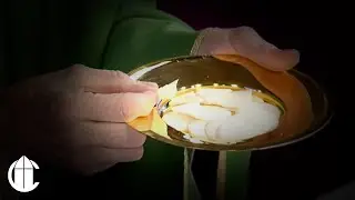 Catholic Mass Today: 7/13/24 | Saturday of the Fourteenth Week in Ordinary Time