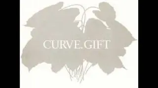 Curve - Polaroid