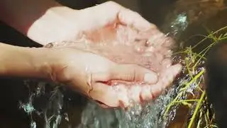 תדרי ברכה לשנה החדשה