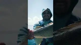 Livescope Secrets with 2 of the best walleye pros #walleye #walleyefishing #livescope