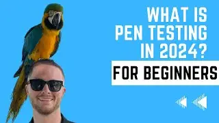 What is Pen Testing in 2024? (For Beginners)